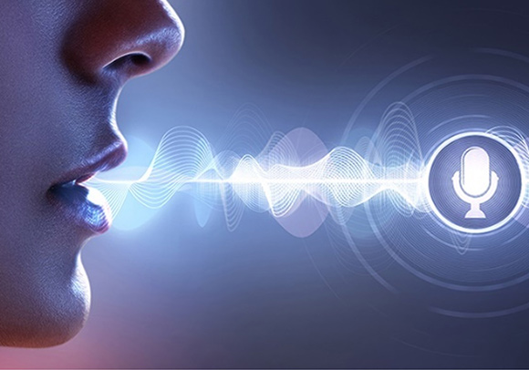 avml-voice.png