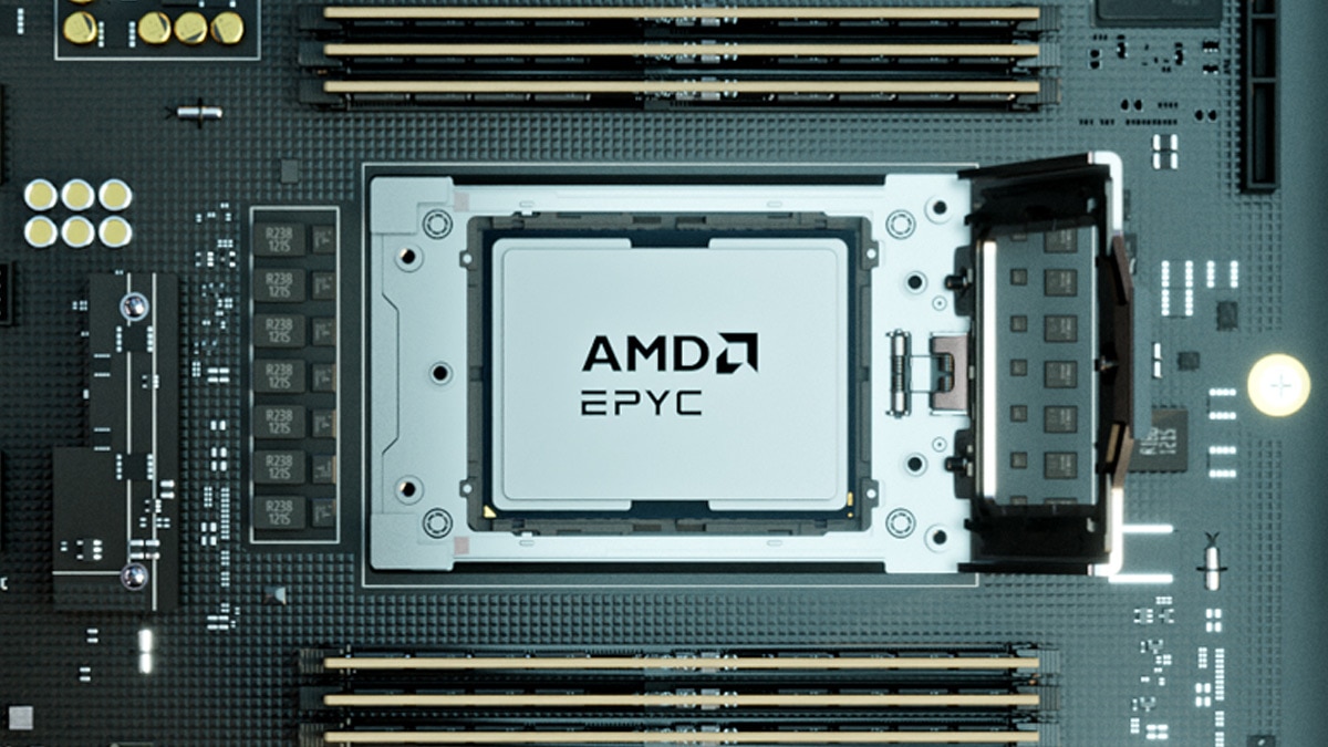 AMD EPYC™ 8005 Server CPUs