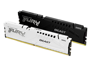 Kingston Fury Beast