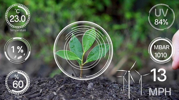 Smart digital agriculture technology by futuristic sensor data collection management by artificial intelligence to control quality of crop growth and harvest. Computer aided plantation grow concept.