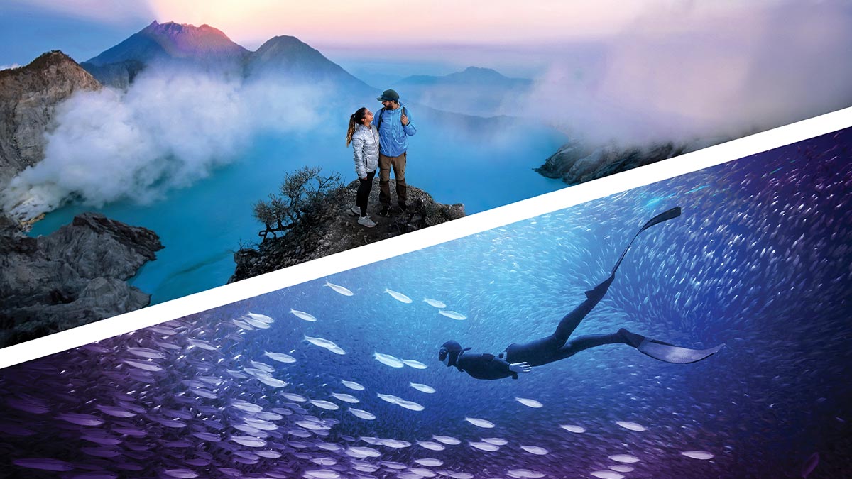 Adobe Photoshop Elements & Premiere Elements 2026