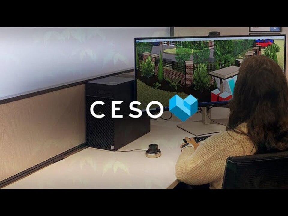 AMD and Dell Case Study CESO Inc.