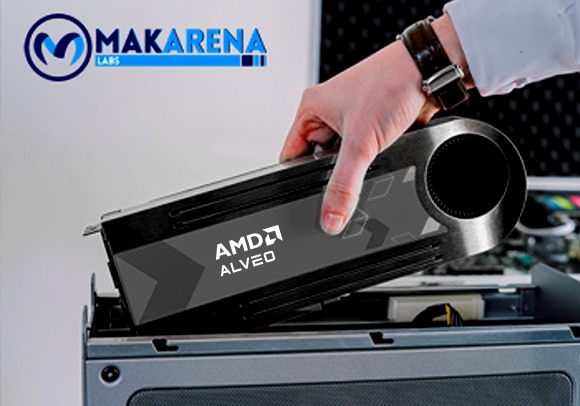 avml-makarena-labs.png